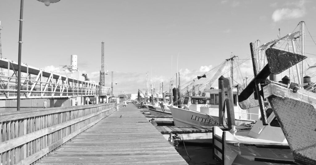 Black and white image of Galveston harbor boats and pier on a clear day.